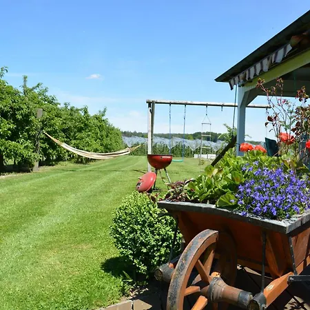Plocher Immenstaad am Bodensee