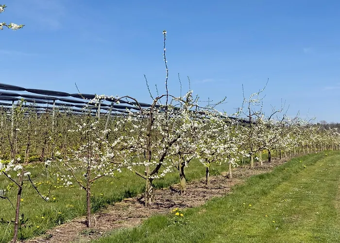 Plocher アパート インメンシュタート・アム・ボーデンゼー